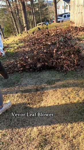 Effortless Leaf Cleanup with Vevor Backpack Blower