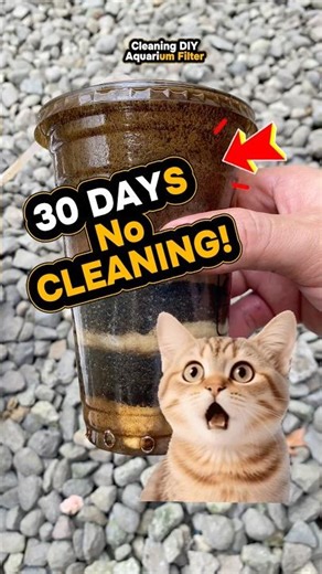 This DIY Aquarium Filter Was FILTHY!😱 #aquariumfilter #beforeandafter #shorts