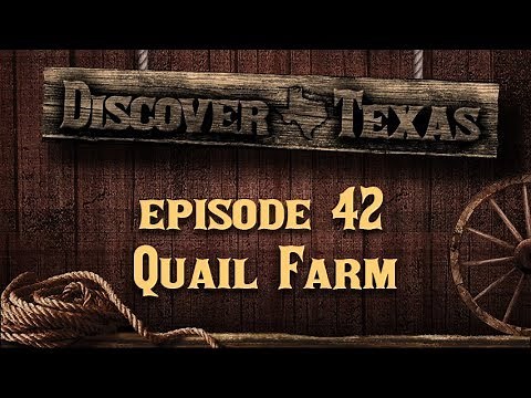 Discover Texas Episode 42 Quail Farm
