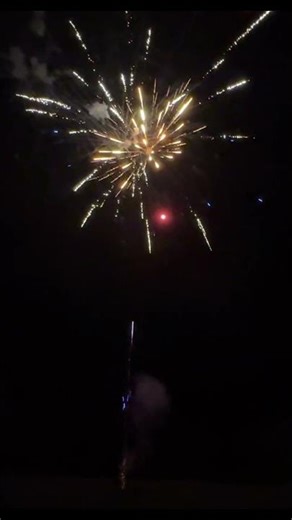 Wicked 42 Shot By Brotherhood Fireworks #fireworks #500grams #fireworkshorts
