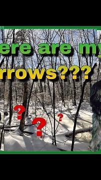 Easy steps to finding lost arrows
