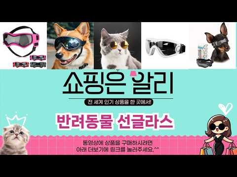 🔥반려동물 선글라스 TOP 5 PICK🔥 가성비 끝판왕! 알리에서 핫한 인기템 공개!