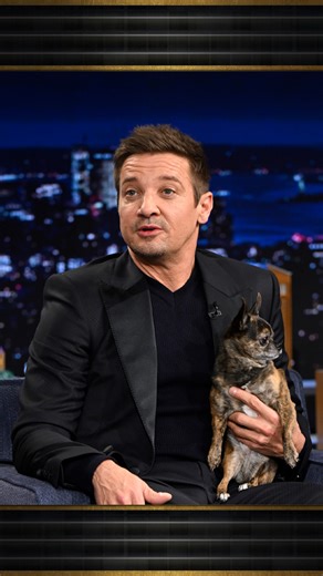 #JeremyRenner brings out his emotional support dog Hershey, who needs some emotional support of his own 😂 #FallonTonight | The Tonight Show Starring Jimmy Fallon