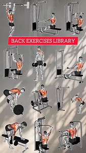 Killer back chart #fblifestyle | Azra Fitness