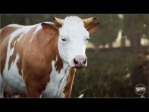 Cow animation preview