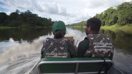 Watch what happens during 72 hours in the Amazon rainforest
