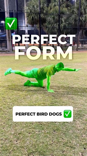 How to PROPERLY Do Bird Dogs (TRY THESE) #birddog #stability #fitnesstips