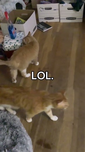 The closest object to your right is gonna make ya famous! Please make me famous :)