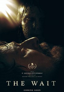 The Wait streaming: where to watch movie online?