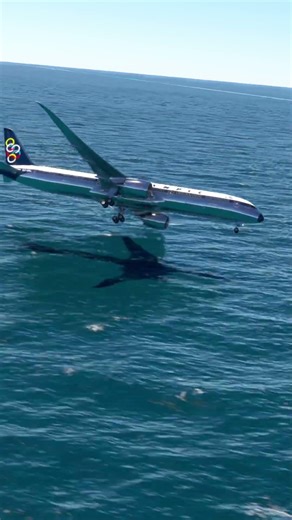 the plane was swept away by the waves /#game #shorts