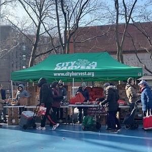 City Harvest on Reels