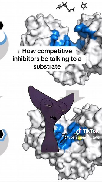 #vcechem #vce #vcebio #vcebiology #vcechemistry