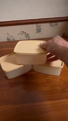 Vintage Tupperware Sandwich Containers 310-40 Set of 3 With Lids Beige Freezer Storage - Etsy