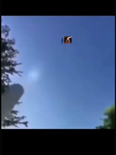 we are sending the first lobster to the Moon boys