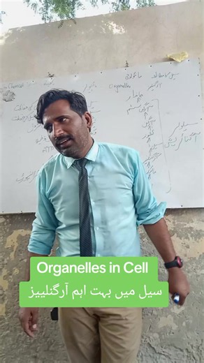 Organelles in Cell — 6th & 9th Class Basic Biology Concepts