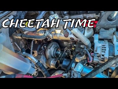 EXHAUST BRAKE PROBLEMS??? 4th gen Cummins Turbo installation.