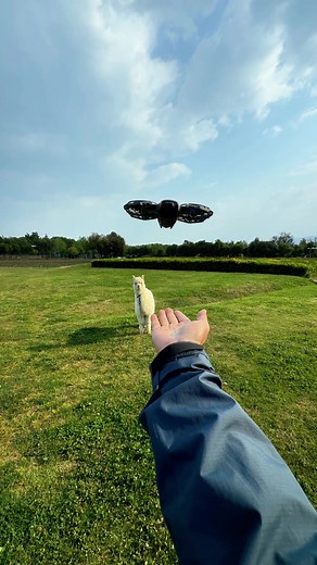 DJI Neo 2: Your Future Tech Pet Drone (2026)