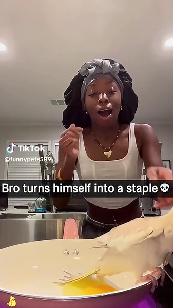 Hilarious Moments with Unlucky Parrots