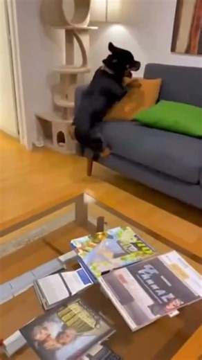 🤯DOG IN DANGEROUS IN PUPPY⚠️..#trendingshorts #millionviews #dogloversdog #viral⚠️