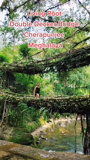 Exploring the Living Root Double Decker Bridge