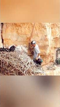 He Risked His Life for These Baby Eagles… 🦅💔
