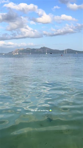 The art of noticing 🐠 📍 Pollença - Spain 🇪🇸 #pollenca #islands #ocean #beach #fishinthesea
