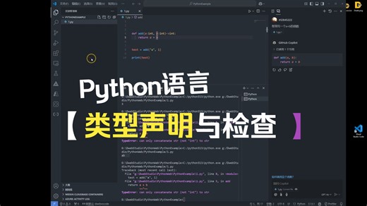 Python的类型声明与检查