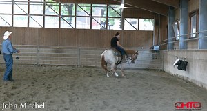 86K views · 875 reactions | NEW VIDEO! Teaching a horse to draw BACK...