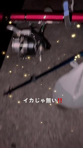 #アオリイカ #ヤエン #ホバチリ #エクスセンス