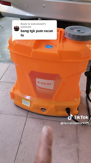 How to Plant Coconut Trees Effectively