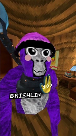 I'm fried tmrw #gorillatag #gorillatagquest #meme #vr #gtag #gorillatagvr #fyp #audios