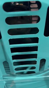 Khatkata Grader chalna machine, Wheat cleaning machine ☎️+91 91111 56620 | Punjab Engineering Corporation | Facebook