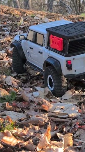 Merry Christmas! // Short video of RGT Pathfinder with Marty McFly