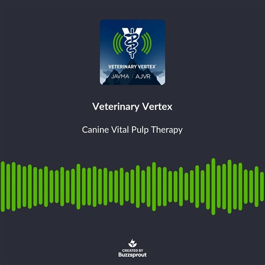 Tune in to the Veterinary Vertex Podcast to learn how vital pulp therapy remains a viable alternative to root canal therapy for managing pulp exposure in dogs from Ethan Elazegui and Dr. Elias Wolfs: https://www.buzzsprout.com/2047448/episodes/17979422 🎙️ 🦷 | Journal of the American Veterinary Medical Association - JAVMA