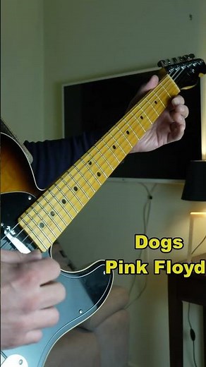 Dogs - Pink Floyd [3th Guitar solo] #pinkfloyd #davidgilmour #dogs #animals #guitarsolo