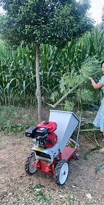 2 Ton/Hour Portable Chaff Cutter 🌾 Efficiently process branches, straw, grasses, and forage into livestock feed. ✅ Capacity up to 2 tons/hour ✅ Portable & farm-friendly design ✅ Durable structure, easy to operate ✅ Perfect for livestock farmers & agri-waste recycling 📩 Contact us today for specs & pricing! #ChaffCutter #ForageProcessing #LivestockFeedMachine #StrawCutter #AgriculturalMachinery #FarmEquipment #AnimalFeedProcessing #GrassCutterMachine #SilageMaking #CropResidueProcessing #FarmMa