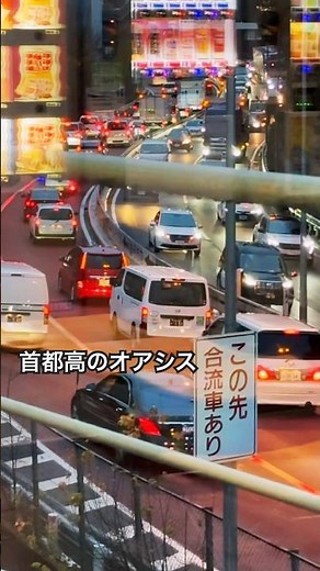 100% Big City Oasis [Yoyogi PA] Shuto Expressway