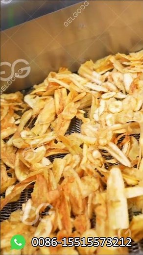 Plantain Chips Cutting and Frying Machine