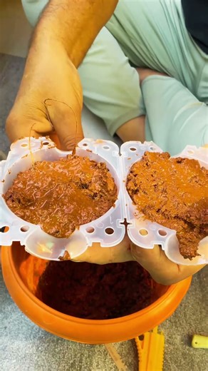 Grafting using grafting ball🎋easy and beginner friendly tutorials | poinsetia plant successful graft