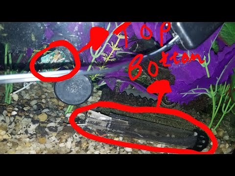 My aquarium heater exploded!