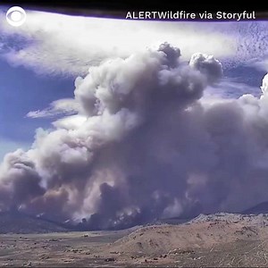 California’s Beckwourth Complex fire has become the state’s largest wildfire of the year. As of Saturday evening, it had grown to over 55,000 acres, and was 8% contained. | CBS News