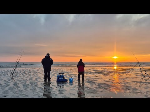 FUN BEACH FISHING/ fishing made fun / sea fishing N Wales