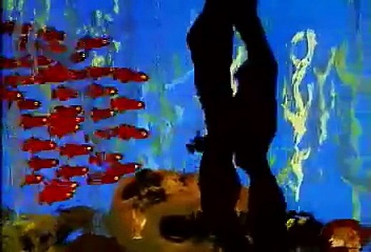 Swimmy - the little black fish (animation)