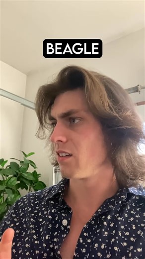 How Dog Breeds React to Robbers PT 5 | Phalla Ath