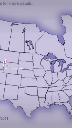 Purple Martin Conservation Association on Reels