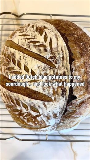 Dutch Blue Potato Sourdough Bread #shorts #youtubeshorts