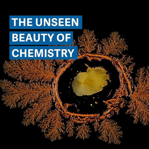 1.2M views · 8.5K reactions | These mesmerizing videos document the beauty of chemical reactions. Even something as simple as M&Ms dissolving in water is stunning. | Quartz | Facebook