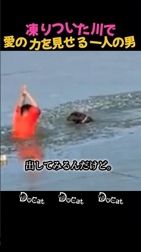 凍りついた川で愛の力を見せる一人の男 #犬 #感動 #救助
