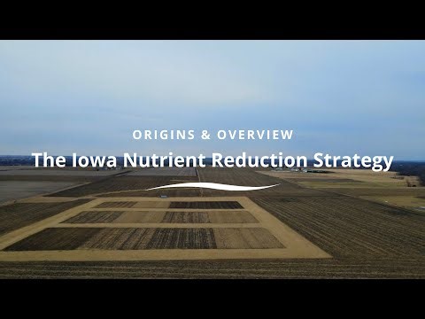 Origins & Overview: The Iowa Nutrient Reduction Strategy
