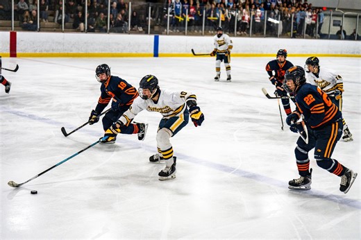 Feasibility study finds need for up to 4 new ice sheets in Kalamazoo. What’s next?